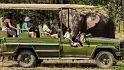 Tanzania, Selous Game Reserve (17)